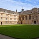 Illustration for article titled Oxford University Student Activist Resigns After Sexual Assault Confession